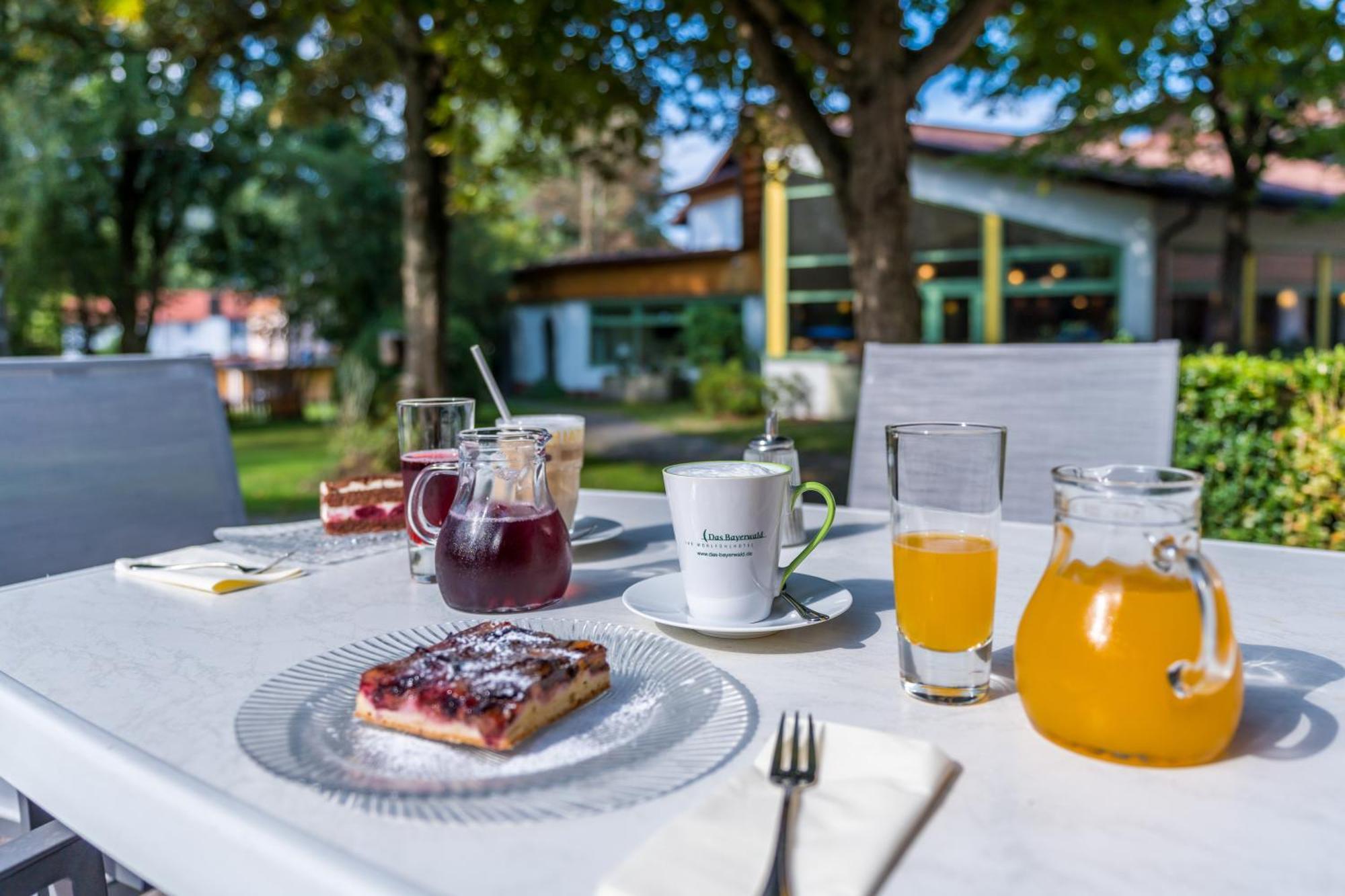 Hotel Das Bayerwald Лам Екстер'єр фото